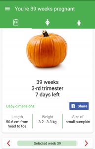 Pregnancy week by week